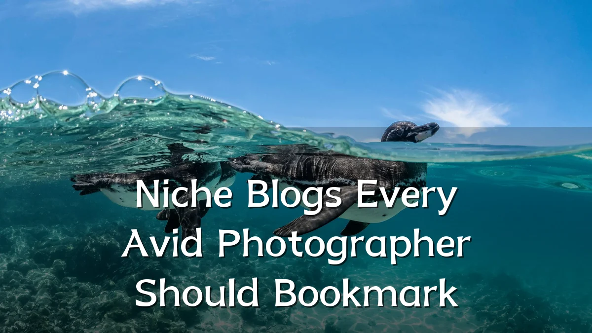 Niche Blogs Every Avid Photographer Should Bookmark