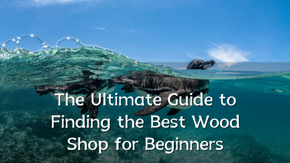 The Ultimate Guide to Finding the Best Wood Shop for Beginners