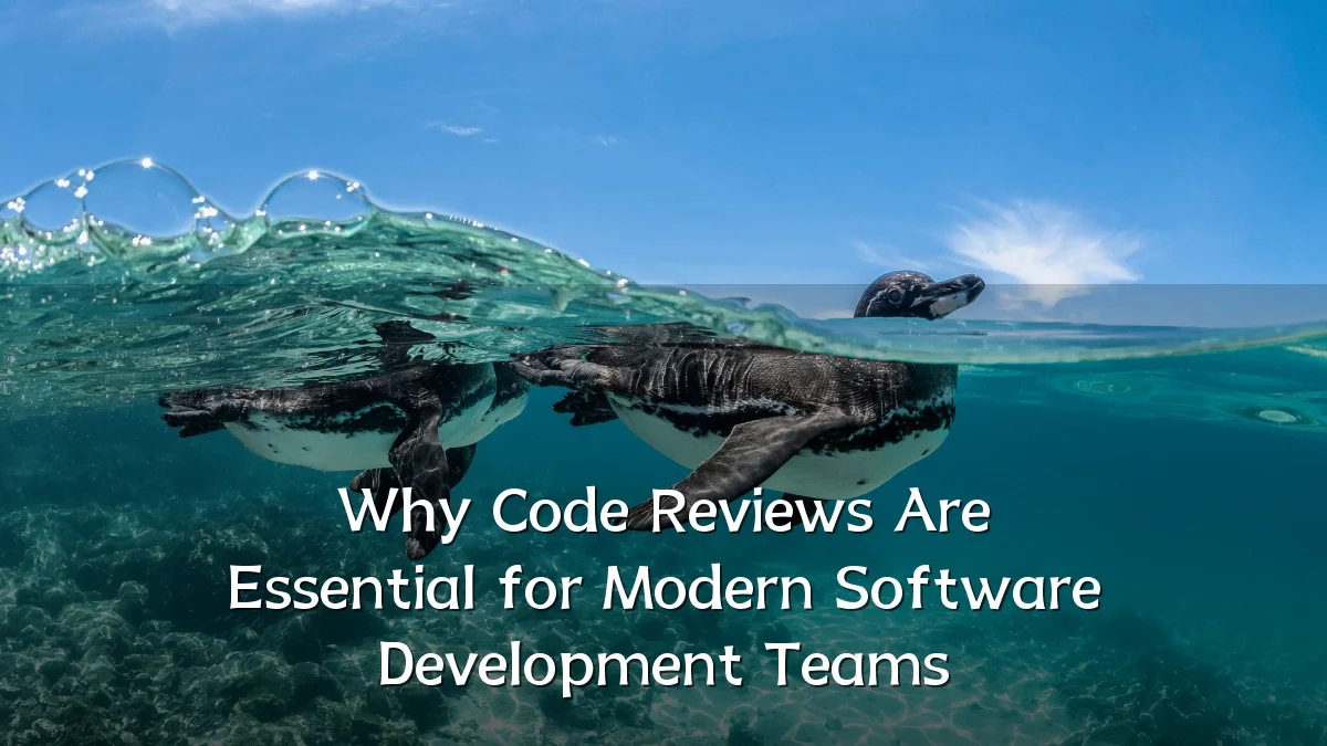 Why Code Reviews Are Essential for Modern Software Development Teams