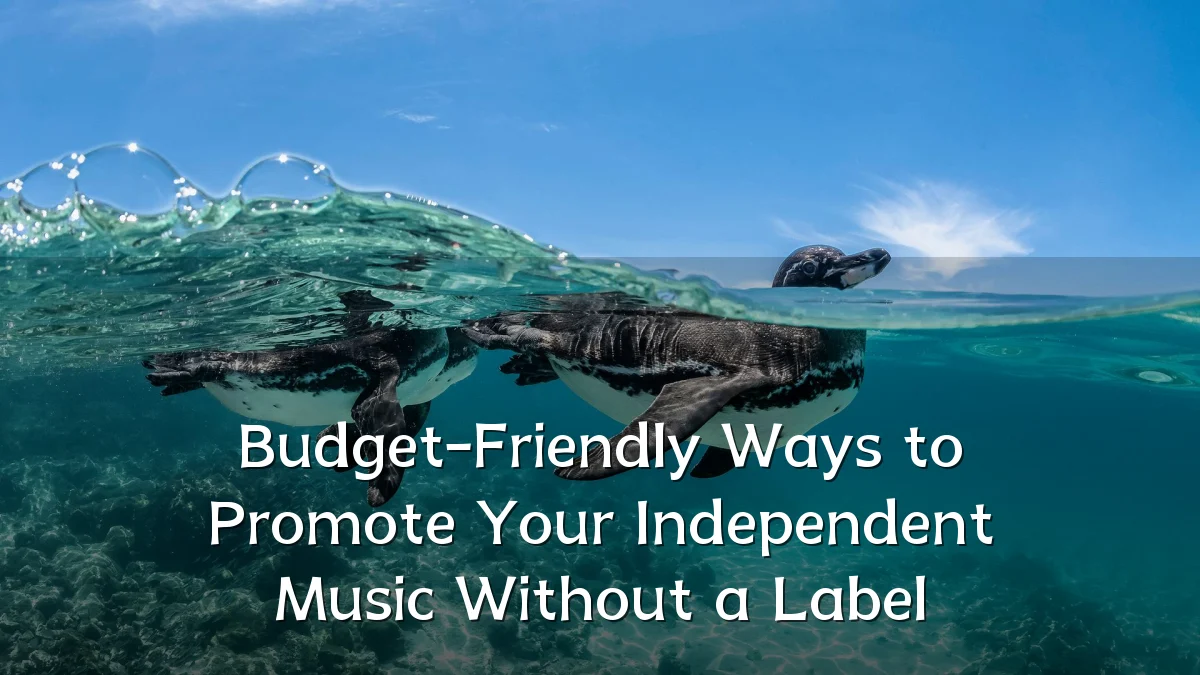 Budget-Friendly Ways to Promote Your Independent Music Without a Label