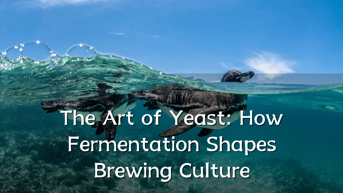 The Art of Yeast: How Fermentation Shapes Brewing Culture