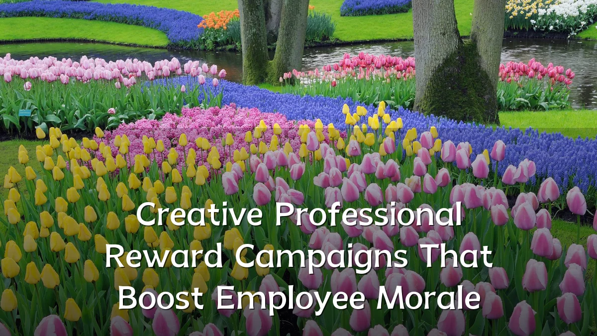 Creative Professional Reward Campaigns That Boost Employee Morale