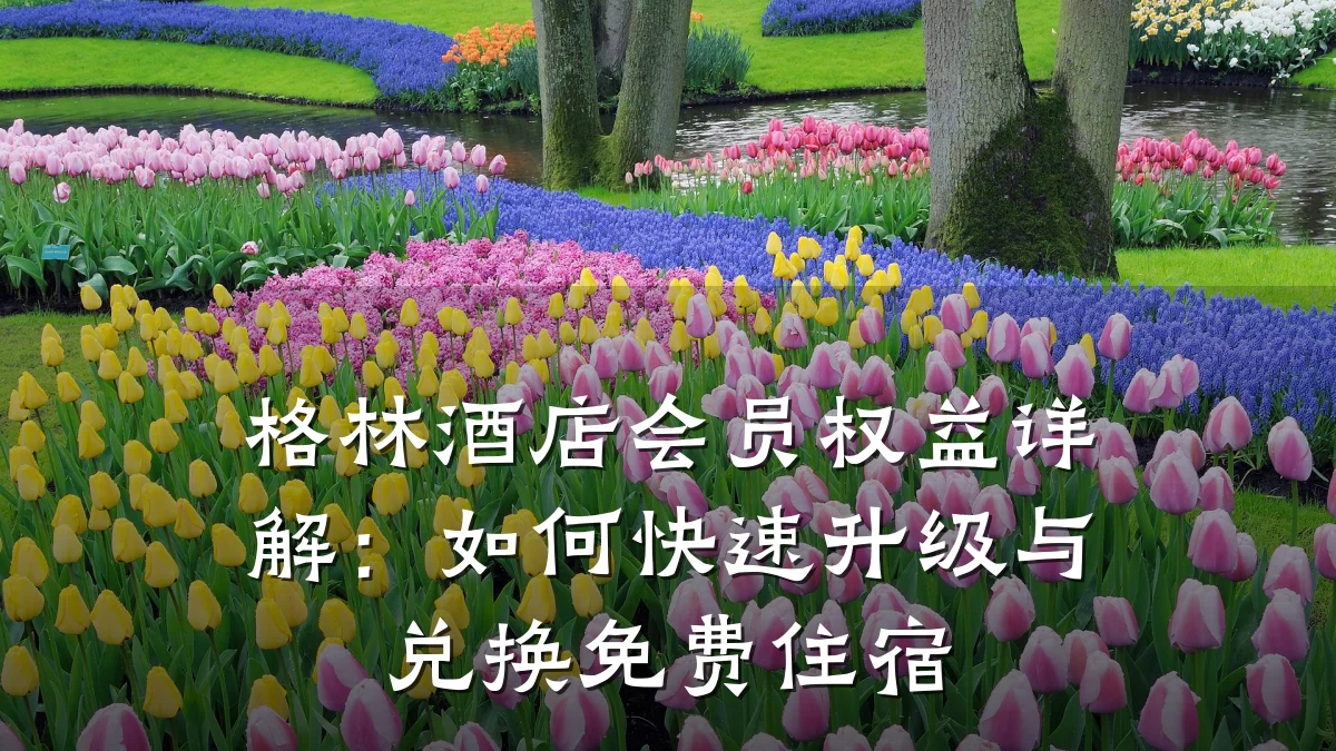 格林酒店会员权益详解：如何快速升级与兑换免费住宿