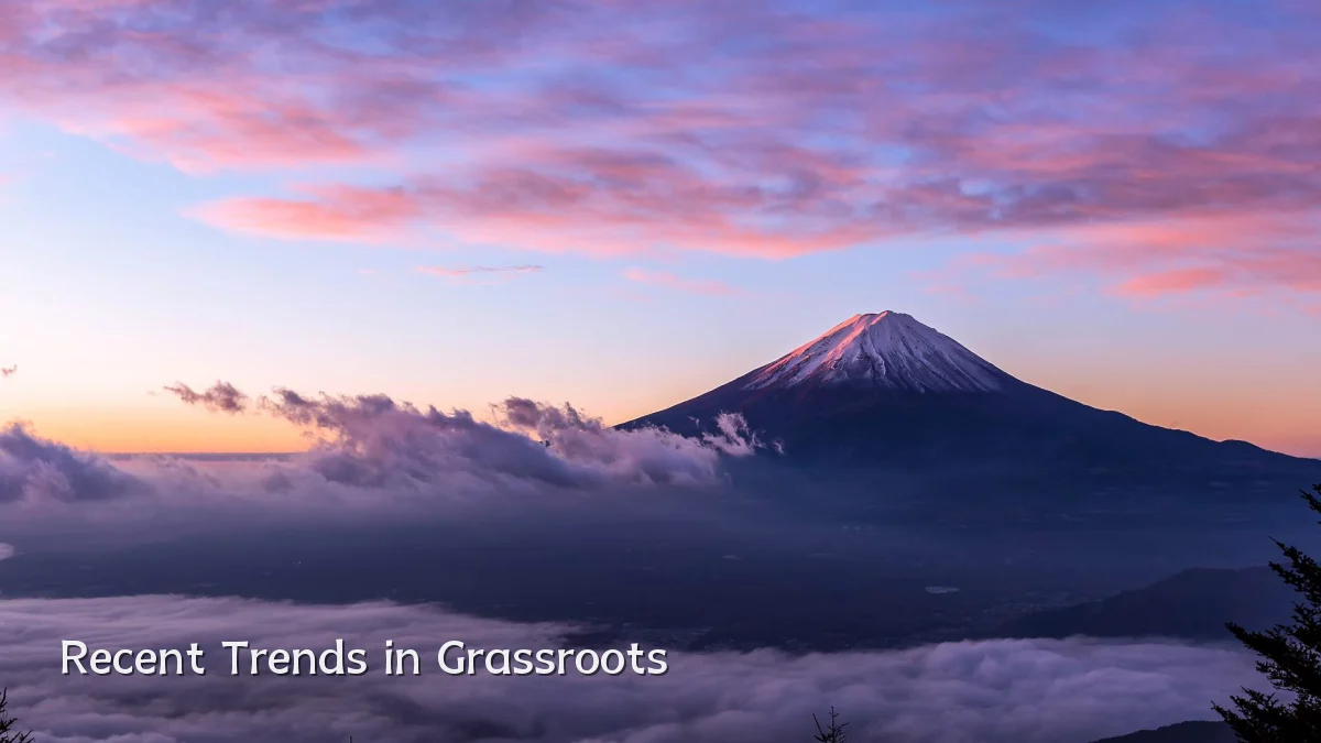 Recent Trends in Grassroots