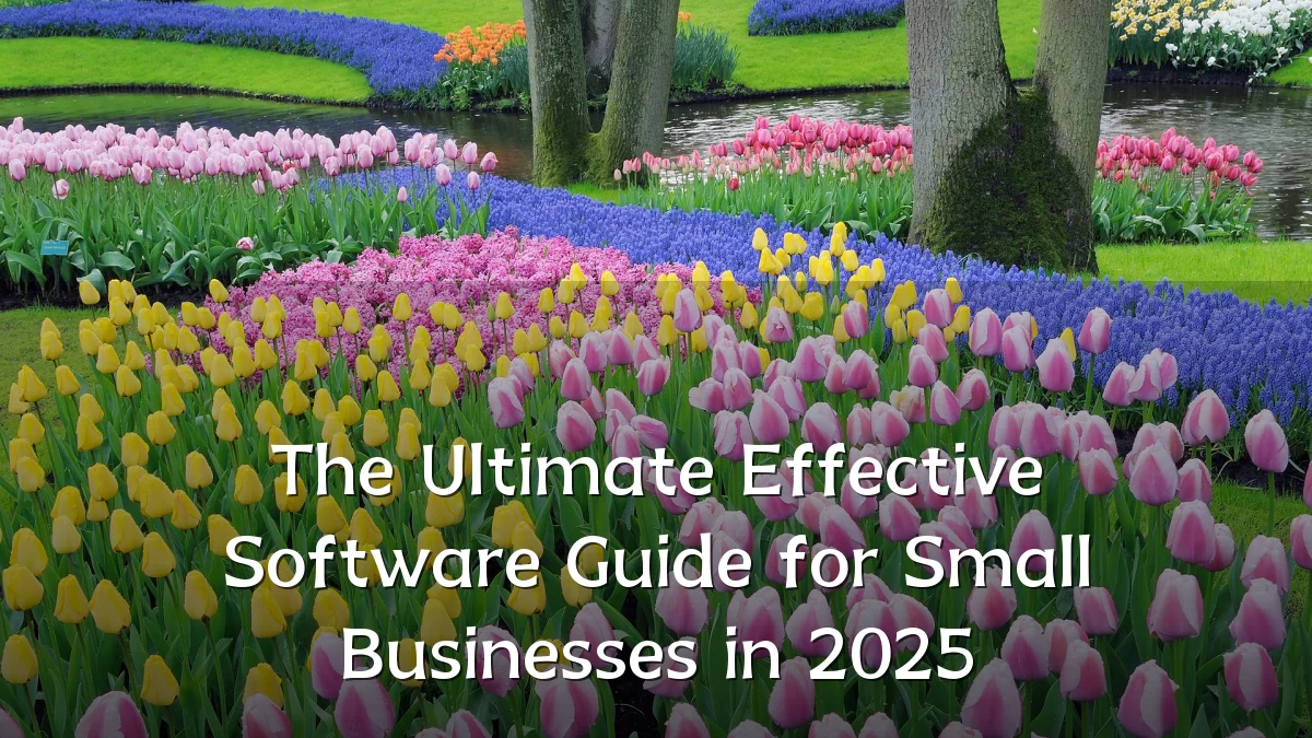 The Ultimate Effective Software Guide for Small Businesses in 2025