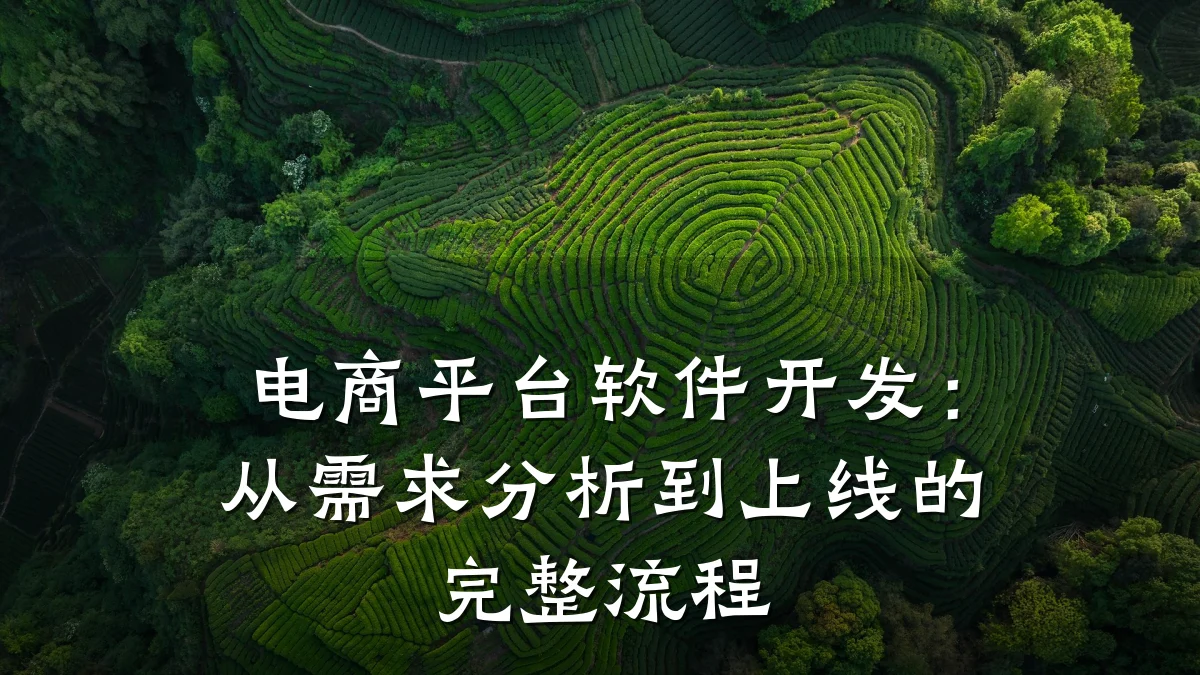 电商平台软件开发:从需求分析到上线的完整流程