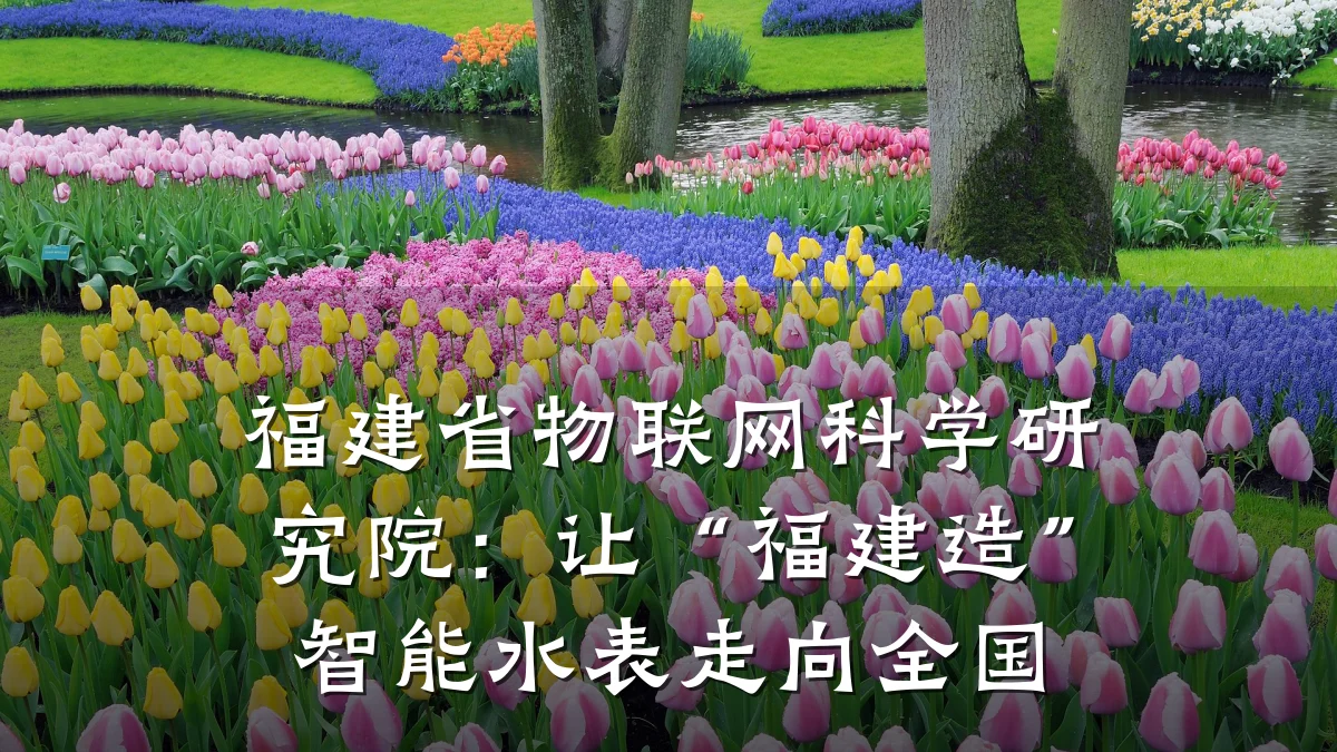 福建省物联网科学研究院:让“福建造”智能水表走向全国