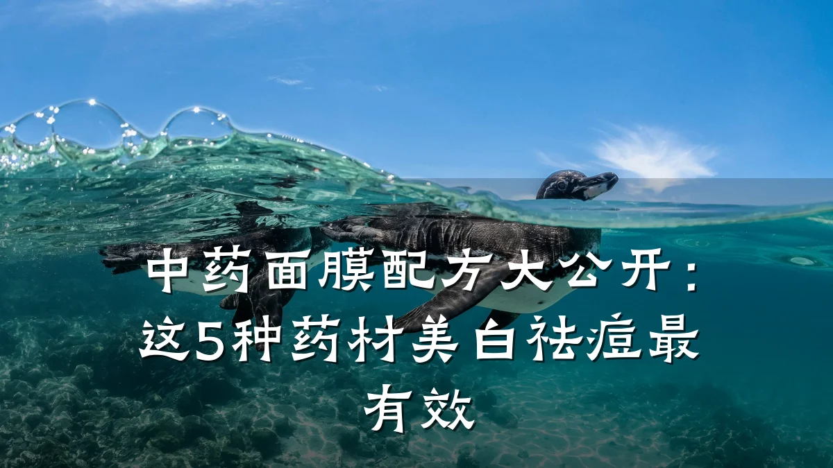中药面膜配方大公开:这5种药材美白祛痘最有效