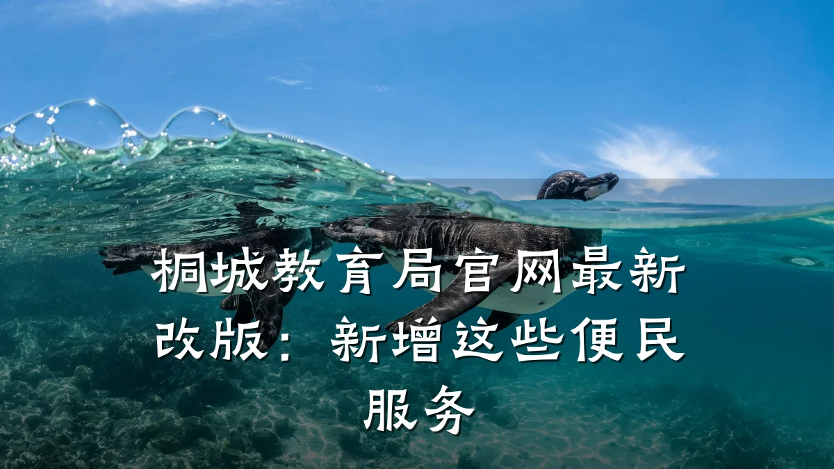 桐城教育局官网最新改版：新增这些便民服务
