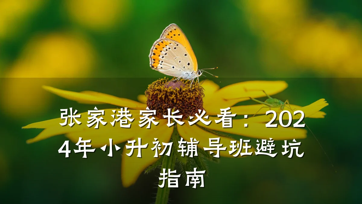 张家港家长必看：2024年小升初辅导班避坑指南