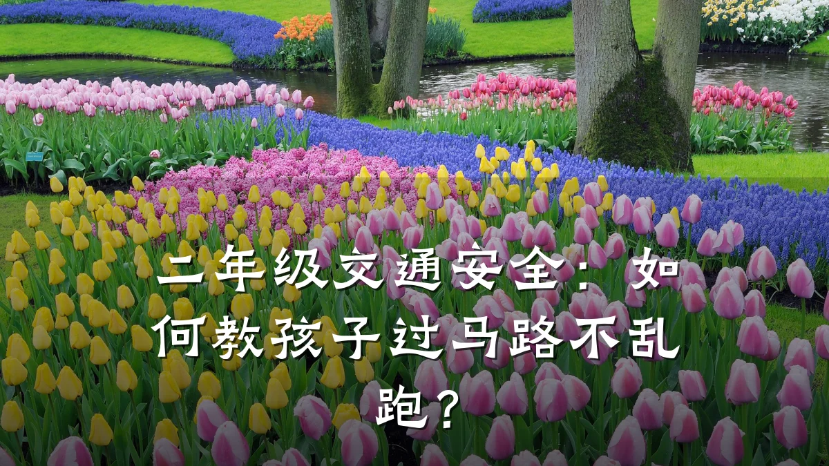 二年级交通安全:如何教孩子过马路不乱跑?