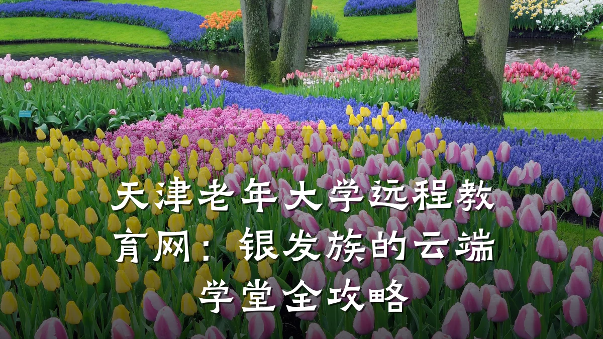 天津老年大学远程教育网：银发族的云端学堂全攻略