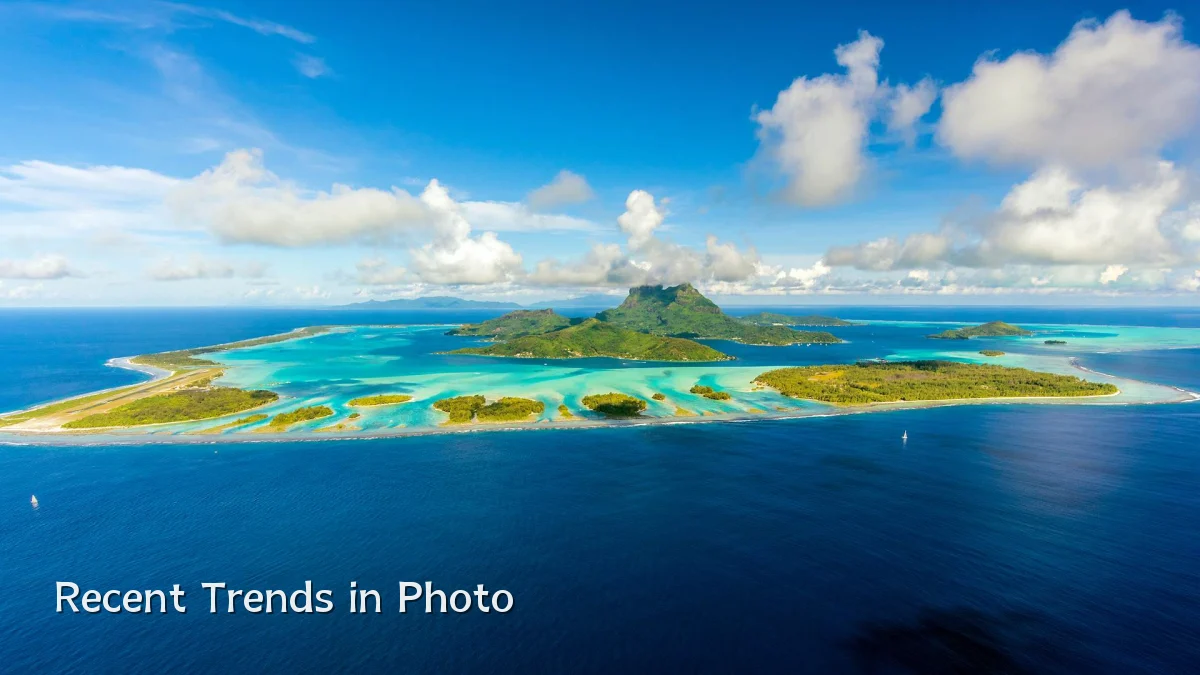 Recent Trends in Photo