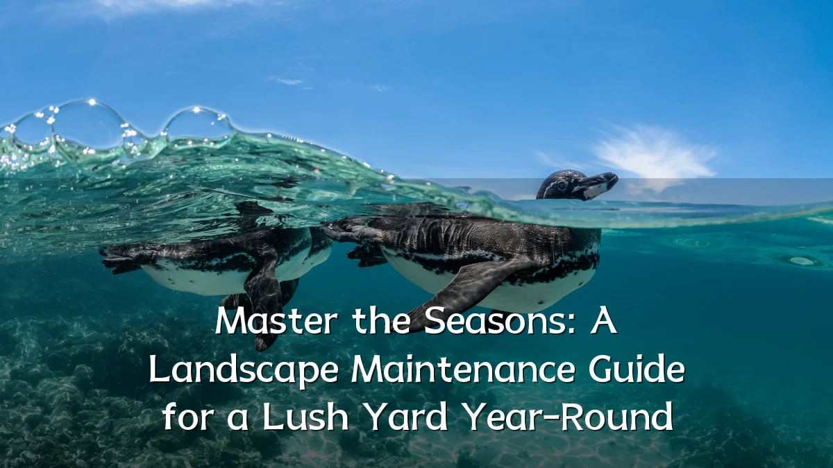 Master the Seasons: A Landscape Maintenance Guide for a Lush Yard Year-Round