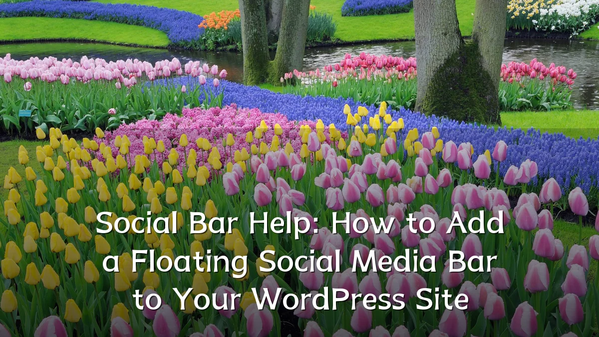 Social Bar Help: How to Add a Floating Social Media Bar to Your WordPress Site