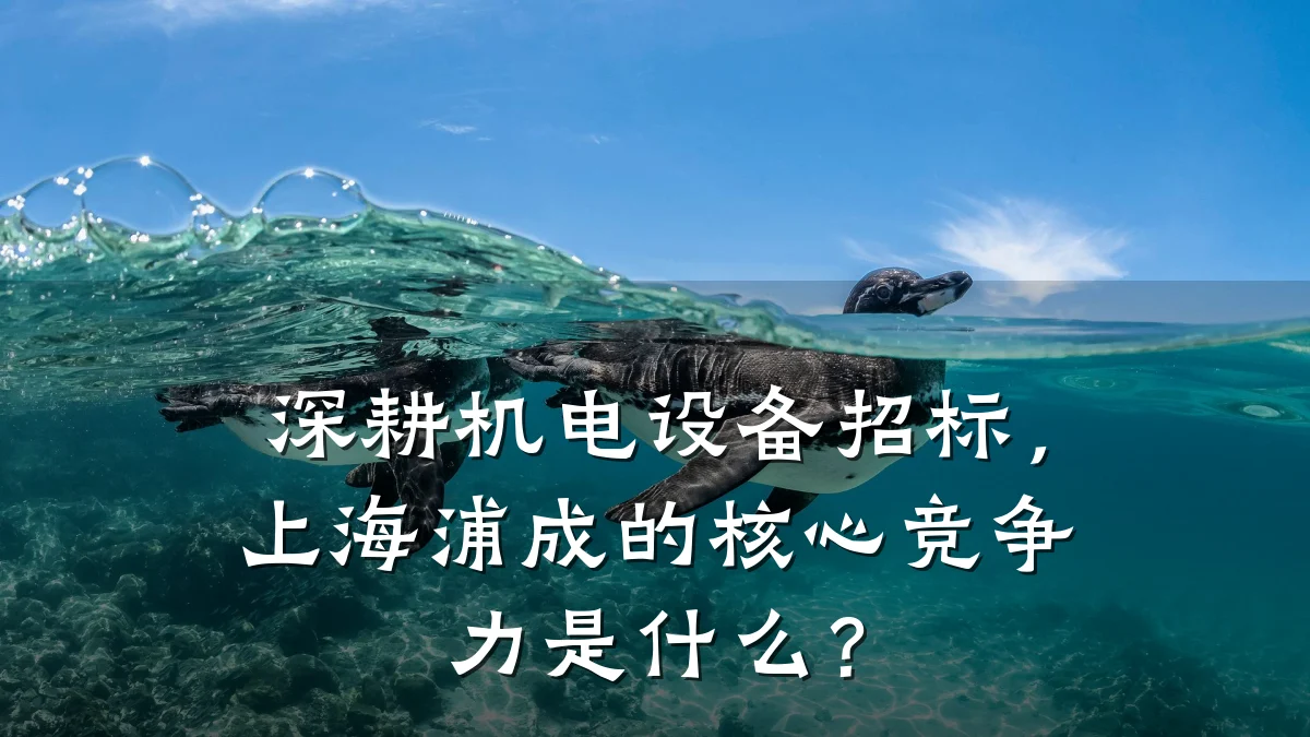 深耕机电设备招标,上海浦成的核心竞争力是什么?