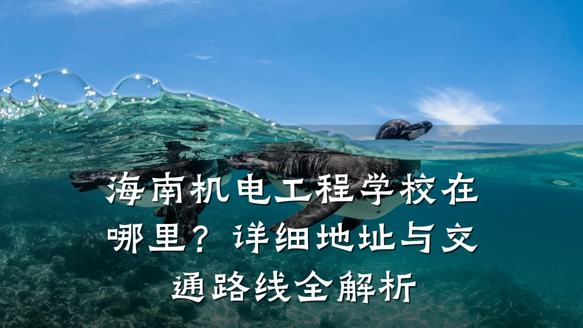 海南机电工程学校在哪里?详细地址与交通路线全解析
